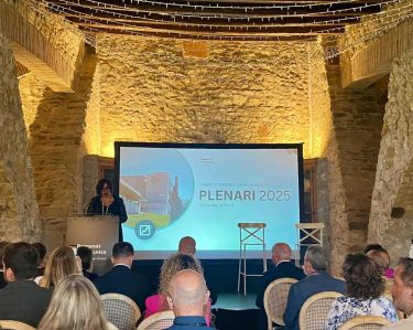 Plenari 2025