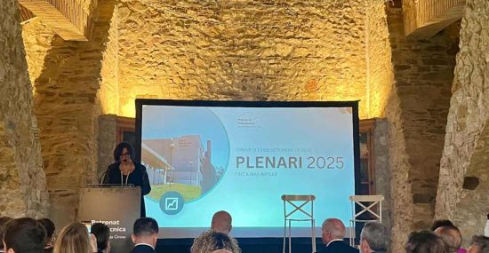 Plenari 2025